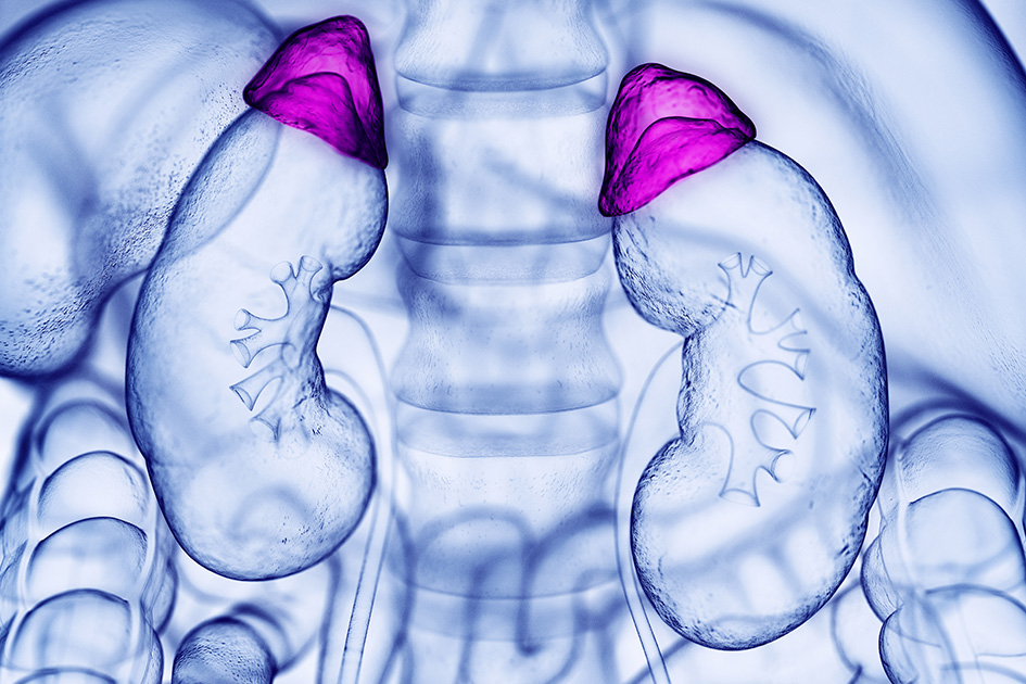 adrenal-insufficiency