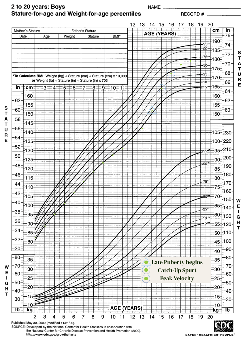 Growth chart illustrating constitutional growth delay with delayed puberty and catch-up growth.